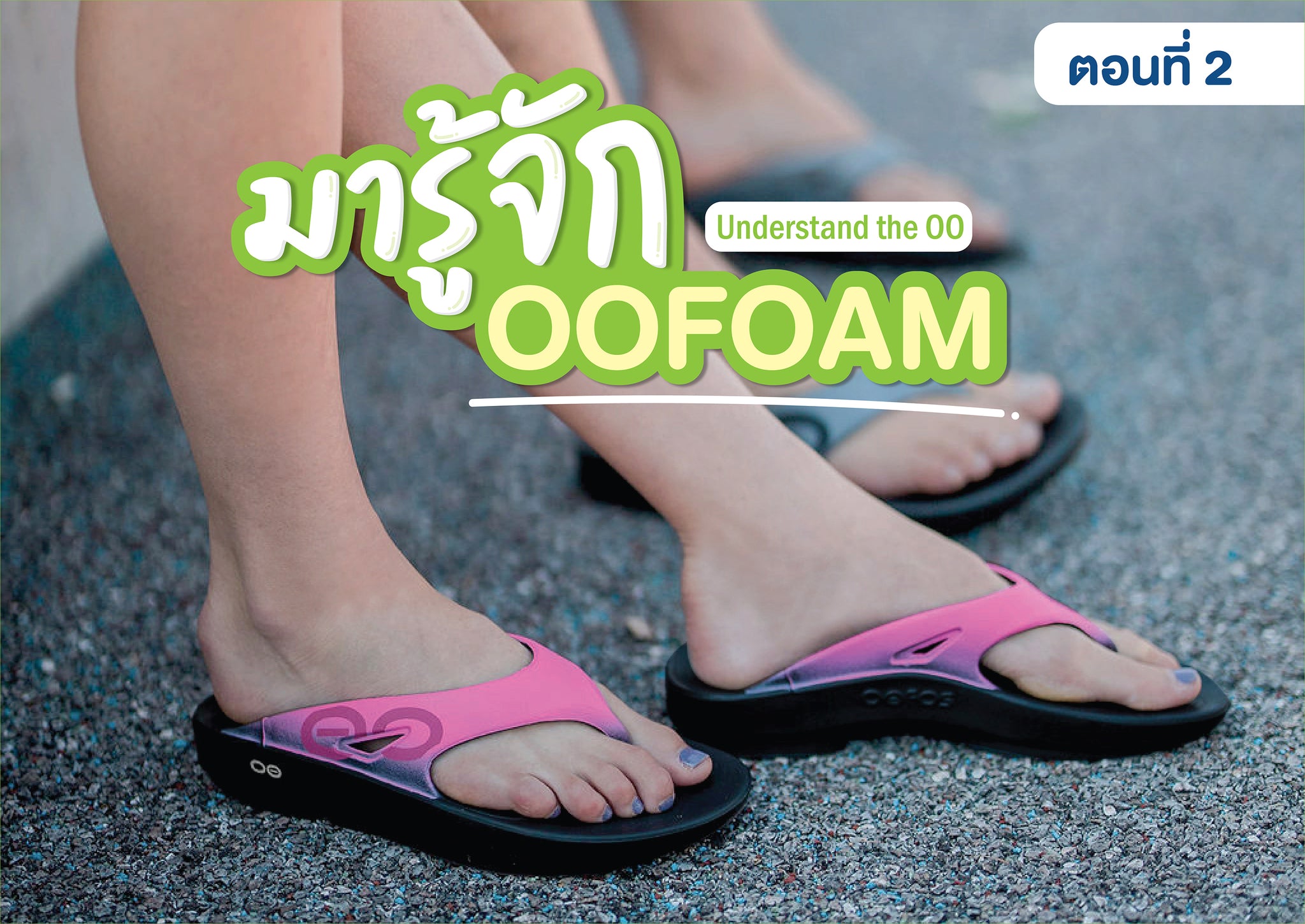 Understand the OO | ตอนที่ 2 : มารู้จัก OOfoam