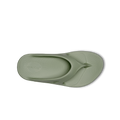 Foliage