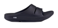Slides