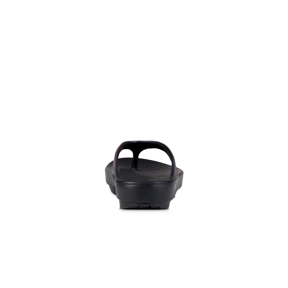 Midnight Spectre