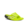 Electro Rally