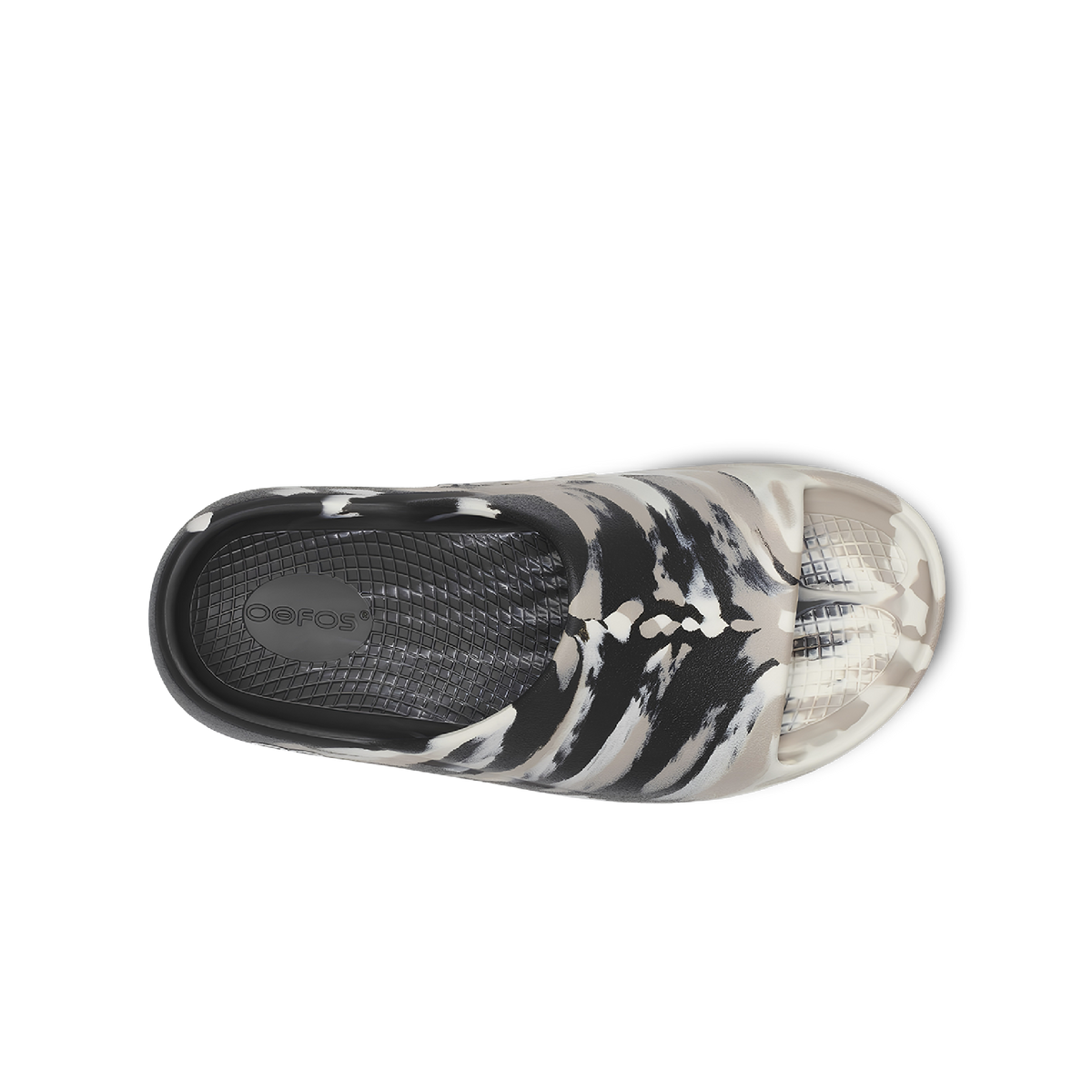 Marbled Nomad