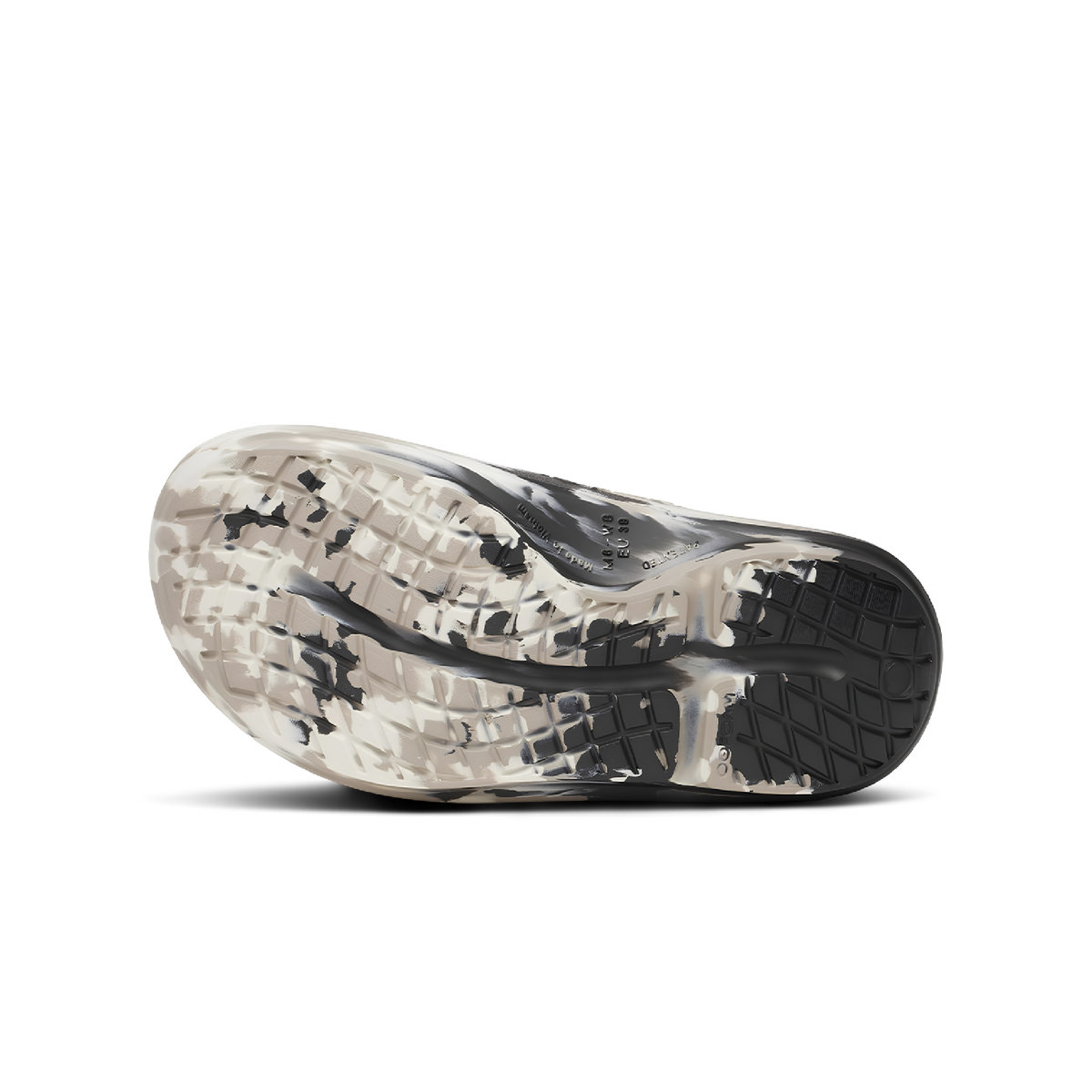 Marbled Nomad