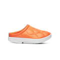Explorer Orange