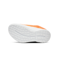 Explorer Orange